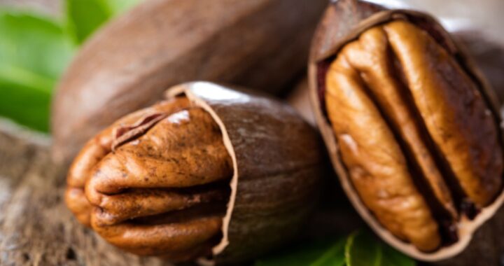 Orzechy pekan – właściwości i porady